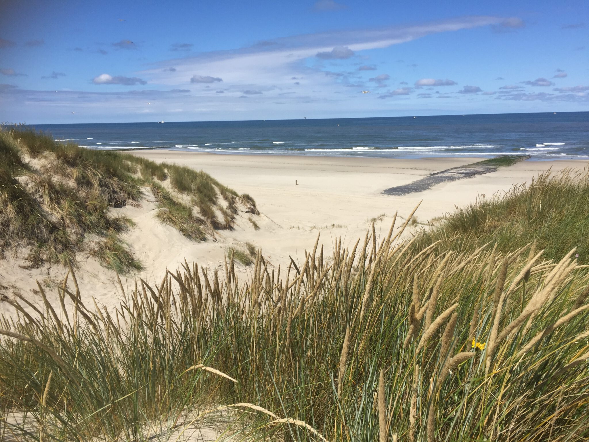 5. Wandelen van A naar Beter – Good Life Sailing